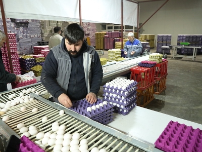 Destekle kurulan çiftlik bölge ihtiyacını karşılıyor