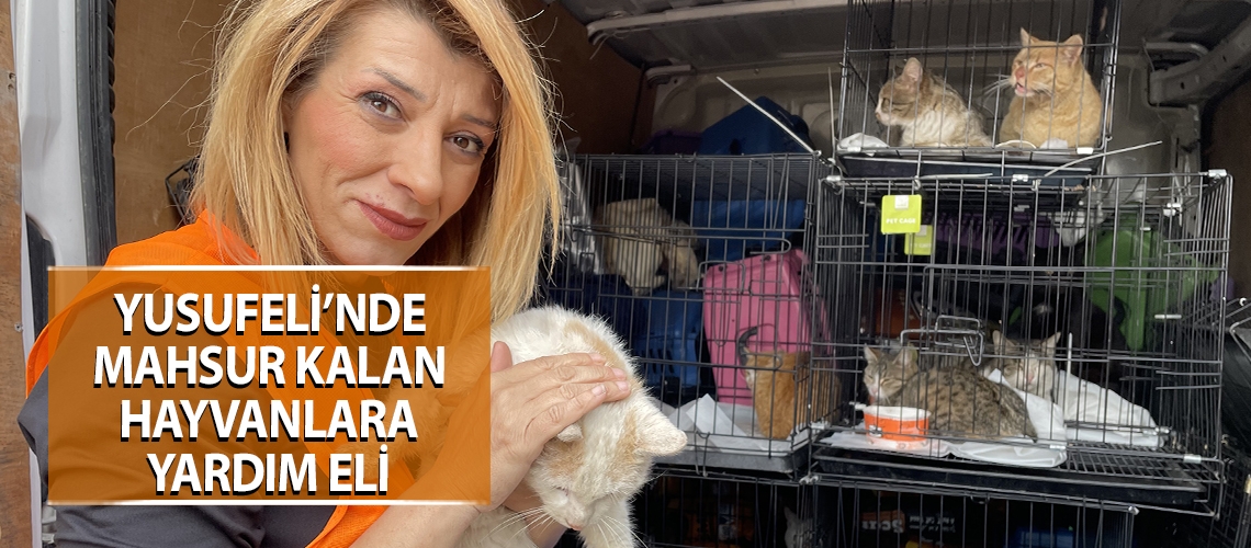 Yusufeli’nde mahsur kalan hayvanlara yardım eli