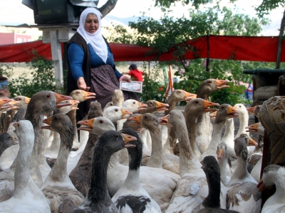 Elazığ’da örnek kadın girişimci