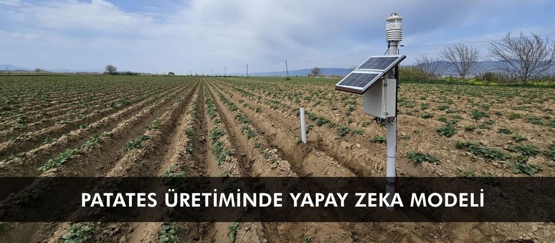 Patates üretiminde yapay zeka modeli