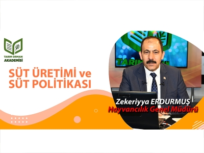 SÜT ÜRETİMİ VE SÜT POLİTİKASI