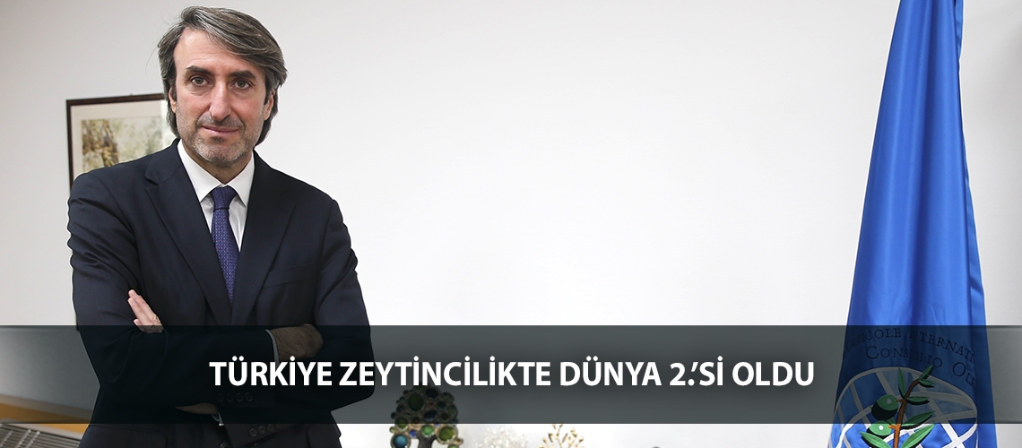 Türkiye zeytincilikte dünya 2.’si oldu