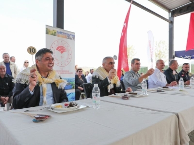 Aliağa’da zeytin hasadı şenlikle kutlandı