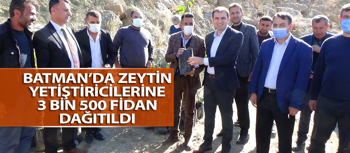 Batman’da zeytin yetiştiricilerine 3 bin 500 fidan dağıtıldı