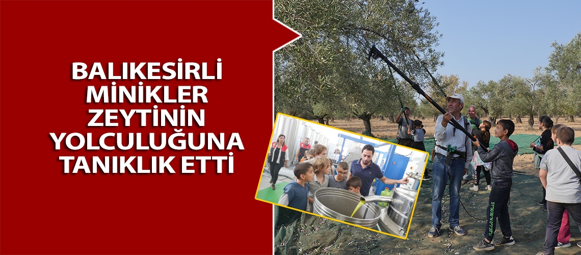 Balıkesirli minikler zeytinin yolculuğuna tanıklık etti