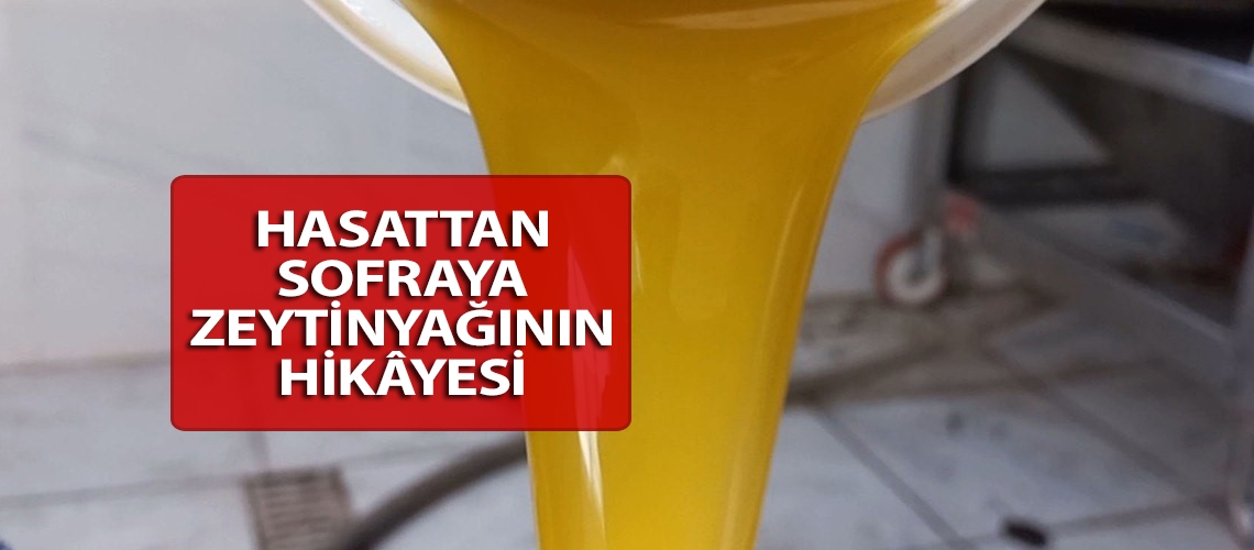 Hasattan sofraya zeytinyağının hikâyesi