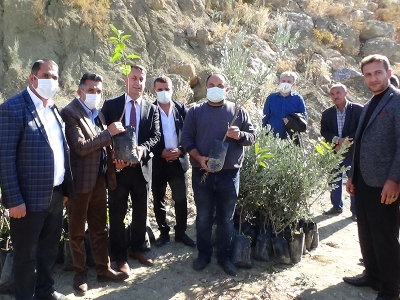 Batman’da zeytin yetiştiricilerine 3 bin 500 fidan dağıtıldı