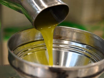 Zeytin karasuyu tarımda değerlendirilecek