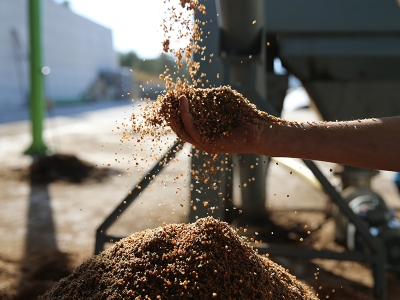 Zeytinde sıfır atık, çevreci yakıt projesi