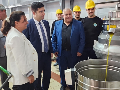 Çanakkale’de sezonun ilk zeytinleri işlenmeye başlandı