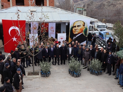 Erzurum’da zeytincilik yaygınlaşıyor