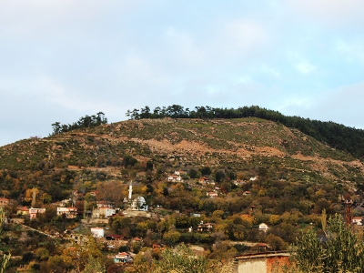 Zeytinköy'ün karası yeşile büründü
