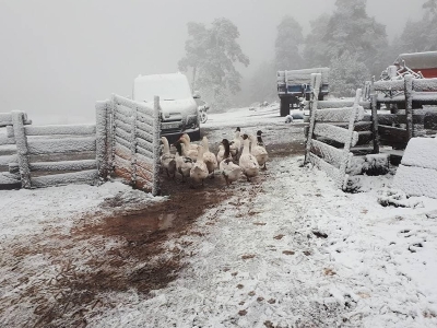 Meteorolojiden zirai don uyarısı