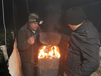 Seralarda don nöbeti sürüyor