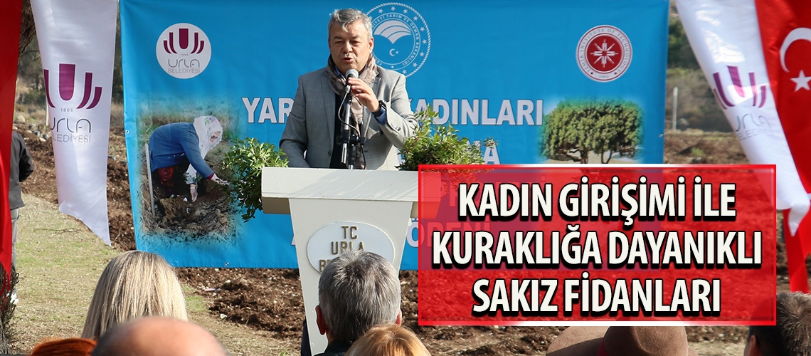 Kadın girişimi ile kuraklığa dayanıklı sakız fidanları