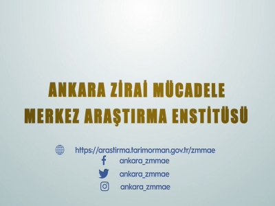 Ankara Zirai Mücadele Merkez Araştırma Enstitüsü