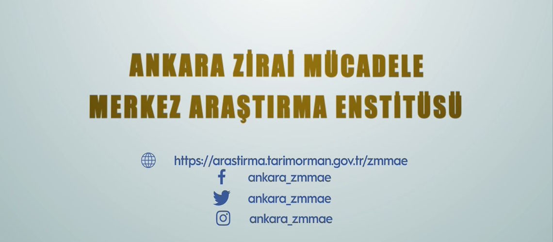 Ankara Zirai Mücadele Merkez Araştırma Enstitüsü