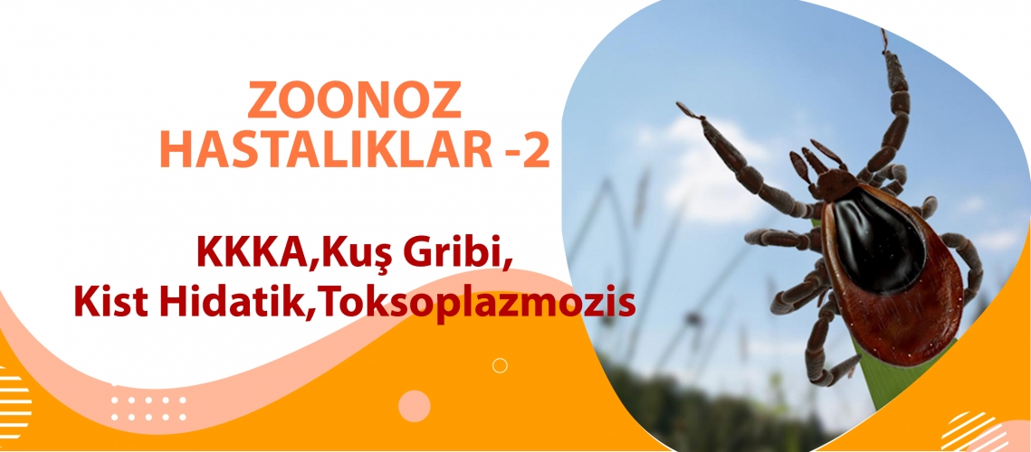 ZOONOZ HASTALIKLAR 2 (KKKA, Kuş Gribi, Kist Hidatik, Toksoplazmozis)