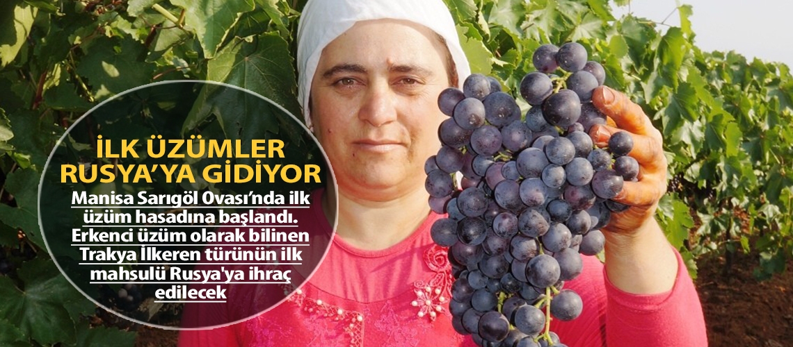 İlk üzümler Rusya’ya gidiyor