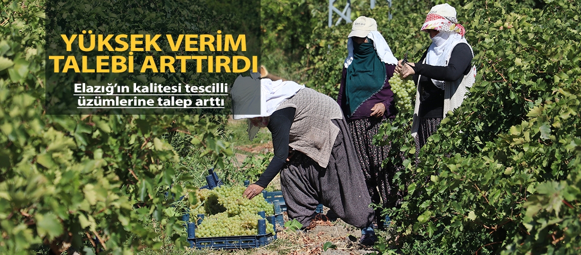 Yüksek verim talebi arttırdı