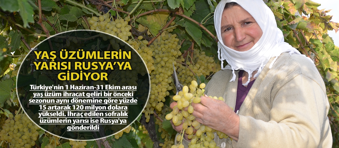Yaş üzümlerin yarısı Rusya’ya gidiyor